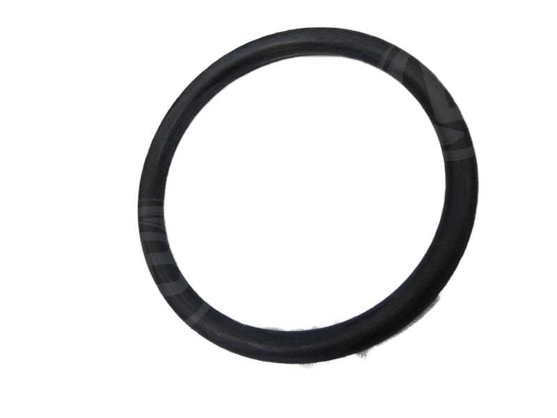 Dichtringsring Wc
