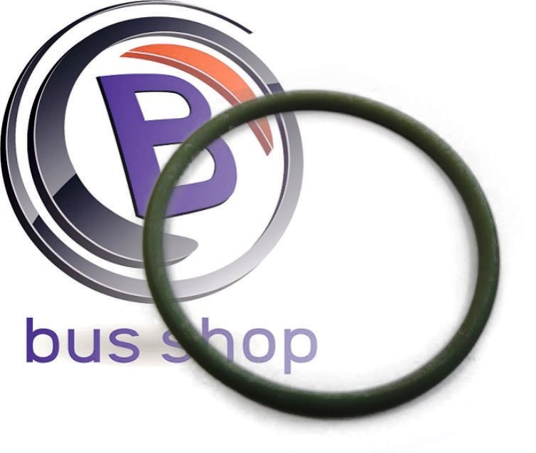 O-Ring Lenkhilfpumpe
