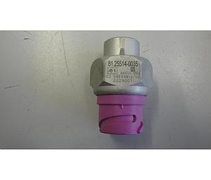 Handbrems Kontrollschalter