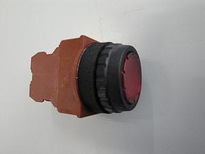 Drückknopf Tür